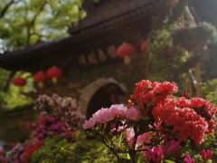 -惠山古镇·寄畅园