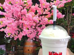 -The Habit Burger Grill 哈比特汉堡(爱琴海店)