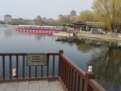 -莲花池公园