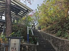 -佛山华盖山公园