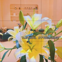 -隐逸SPA