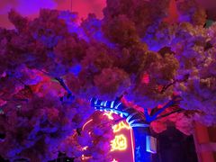 -巴特餐饮6加1音乐餐吧·新疆菜