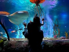 -沈阳海洋探索中心