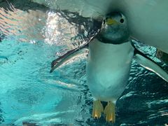 -成都浩海立方海洋公园