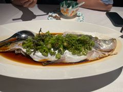 -桂满陇·海市蜃楼·黑金(国金店)