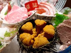 新鲜马粪海胆-原志优秀食材·匠心料理·海胆主题(金亿广场店)