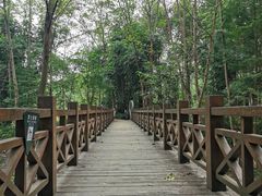 -桤木河湿地公园