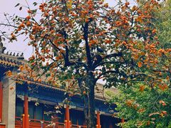 -北京石刻艺术博物馆(五塔寺)