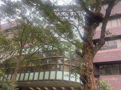 -香港大学