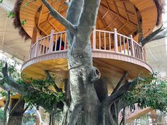 -南宫五洲植物乐园