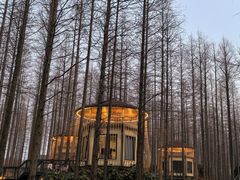 -黄海国家森林公园