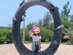 -广东惠东海龟国家级自然保护区