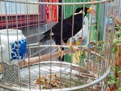 -五悦北平四季涮肉·烧烤(老商埠店)