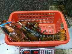龙虾-蚝专家(北滘店)