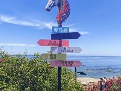 -养马岛旅游度假区