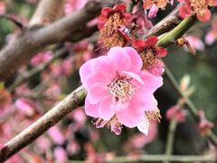-老门东历史文化街区