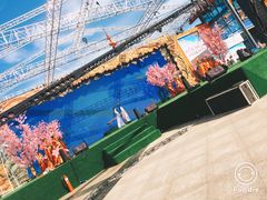 -荷兰花海