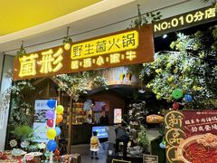 -菌彩云南野生菌火锅(呈贡七彩云南第壹城店)