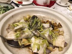 -酌宴府The China Club·广州万富希尔顿酒店(云城东路店)