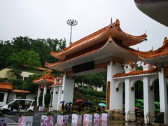 -深圳仙湖植物园