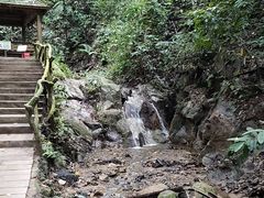 -西双版纳原始森林公园