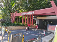 -福田红树林生态公园