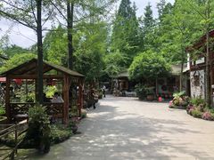 -青城甲(青城山店)