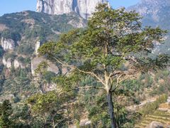 -雁荡山风景名胜区