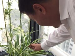 -新湖明珠城