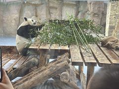 -无锡动物园·太湖欢乐园