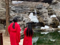 -北京植物园-展览温室