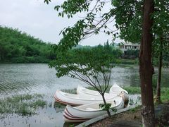 -宁波九龙湖开元度假村