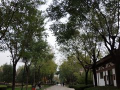 -西安青龙寺遗址景区