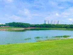 -盘龙城国家考古遗址公园