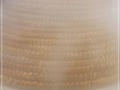 -云中鱼蒸汽石锅鱼(川沙百联店)