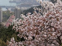 -石岛赤山风景区
