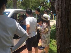 -广东惠东海龟国家级自然保护区