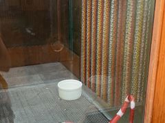 -上海大自然野生昆虫馆(东方明珠·爬宠昆虫探索中心)