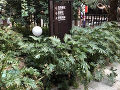 -龙达温泉生态城