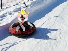 -蓟县盘山滑雪场