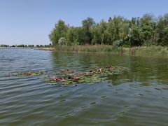 -杜氏旅游度假区