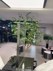 -付军剪艺JF ProSalon