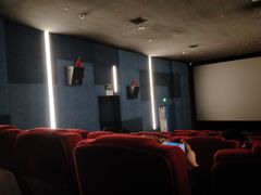 -太平洋影院(西村店)