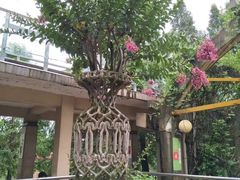 -昆明动物园
