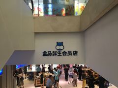 -盒马鲜生(大成店)