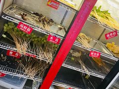 -钢管厂歆瑞源油卤串串香(春熙路太古里店)
