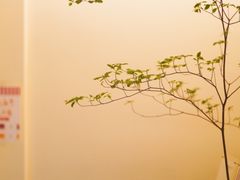 -Onirii Coffee(长乐路店)