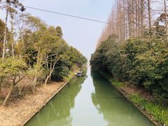 -上海长兴岛郊野公园