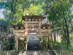 -缙云山景区