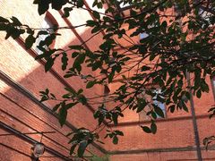 -Ocean's Table 欧舍